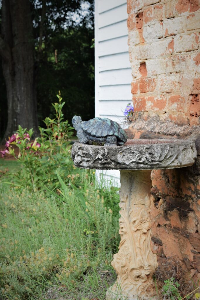 how to grow a cottage garden in the south, birdbath, brick