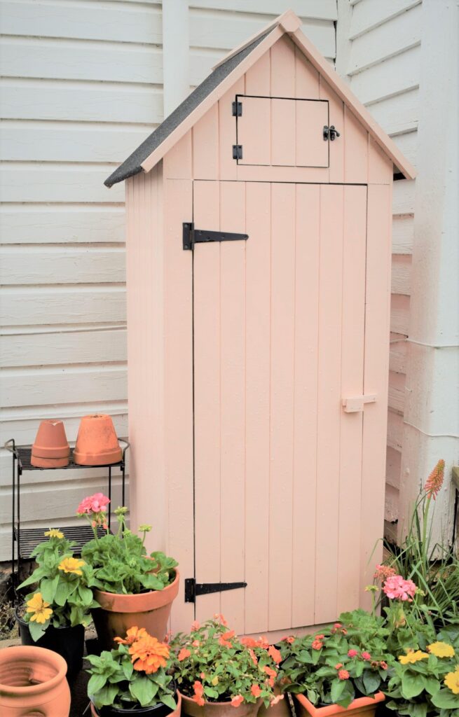 how to grow a cottage garden in the south, zinnia, garden shed, pink