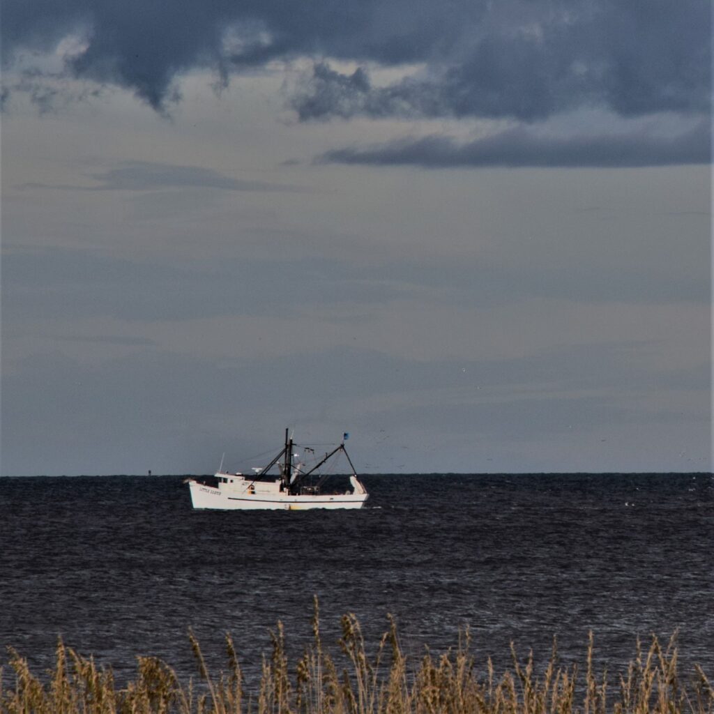 summer activities in august, shrimp boat