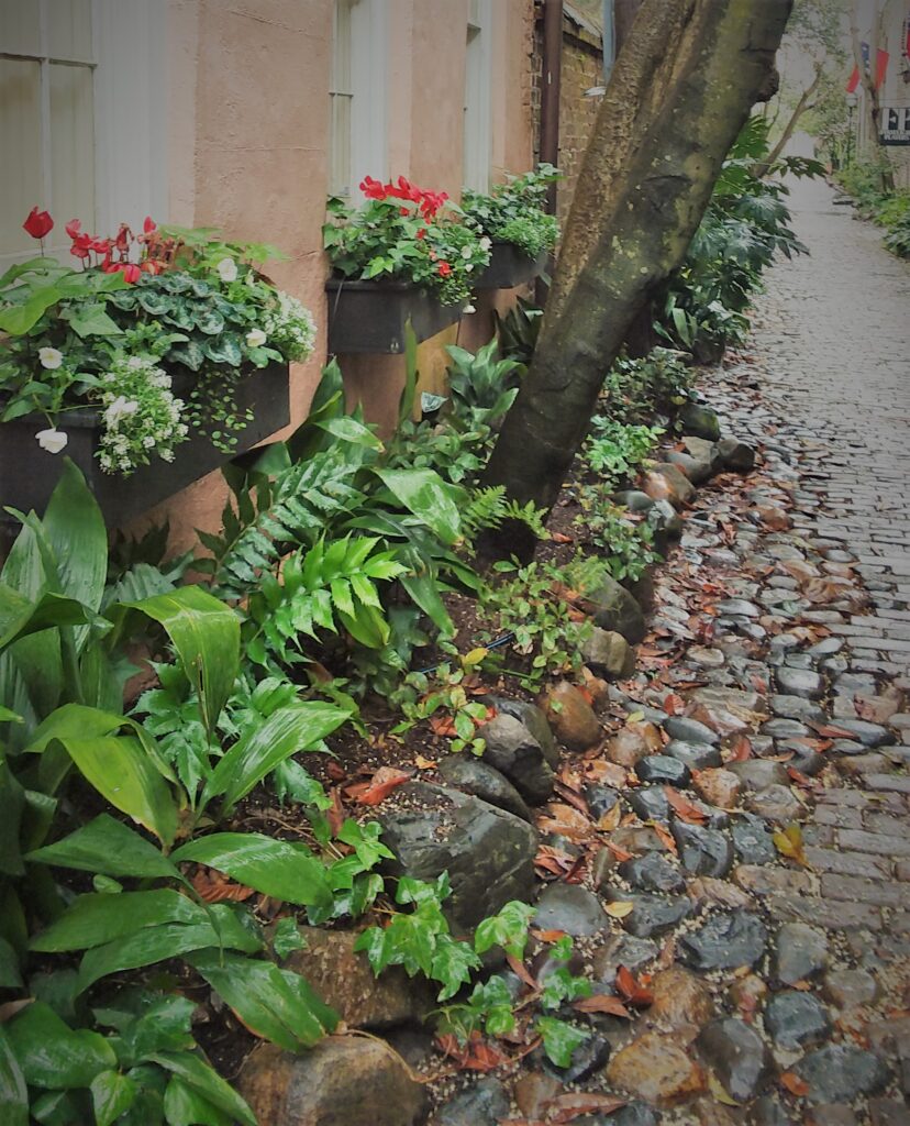 slow travel Charleston south, charleston south carolina southern historic travel cobblestone stree alley lush foliage green window boxes with red flowers peach buff plaster building sidewalk solitude