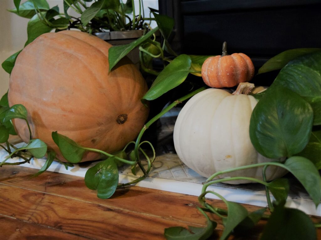 natural halloween mantel décor pumpkins templates diy project boho organic vintage unique farmhouse black bats templates wood floor fireplace