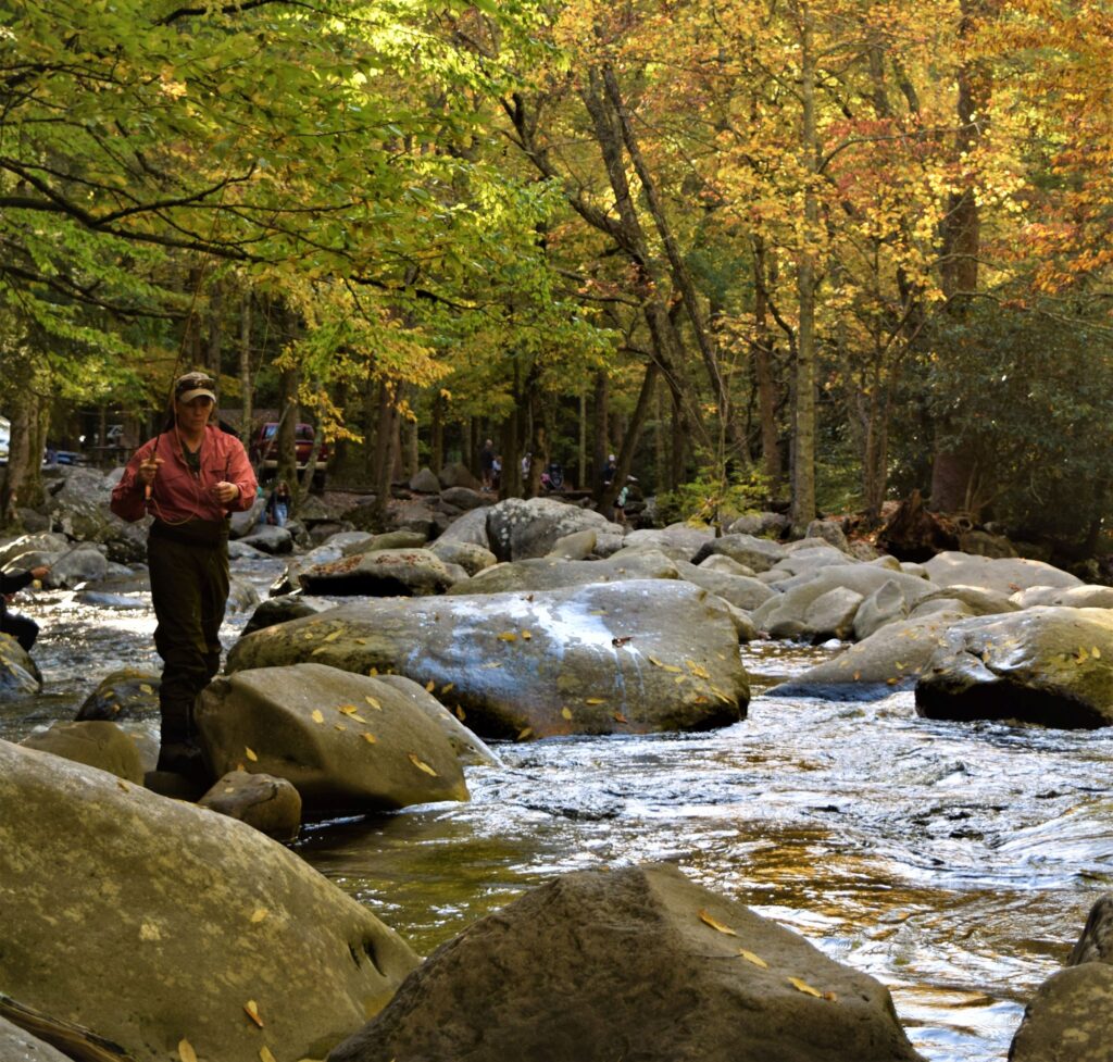 Smoky Mountain Fall Driving tour, natioanl park, fly fishing river