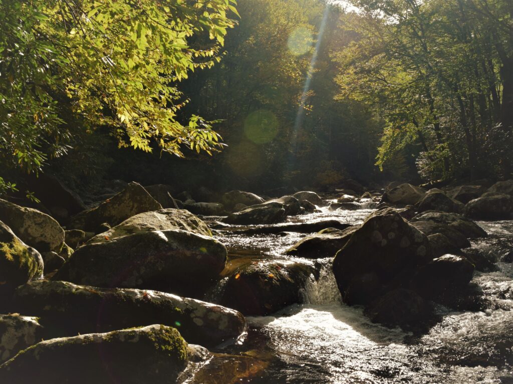 Smoky Mountain Fall Driving, river