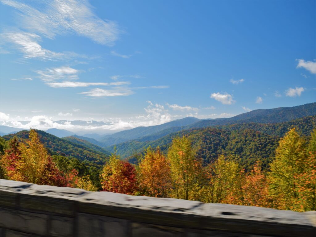 fall smoky mountains park fall color yellow tree mt leconte