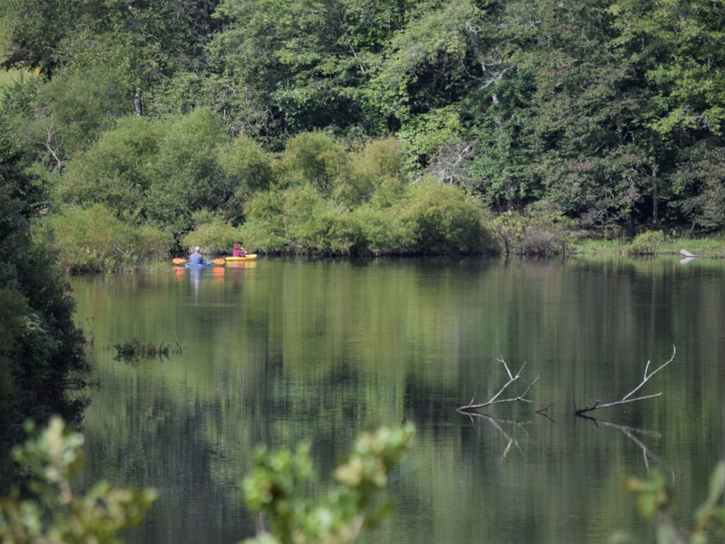 ways to beat the heat, summer, kayak, pair of kayaks, how to choose a kayak, southern, lake, activities, water, green trees, simple, backwoods, wild swimming