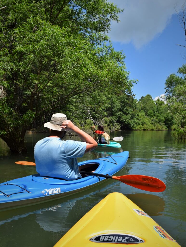 ways to beat the heat, summer, kayak, pair of kayaks, how to choose a kayak, southern, lake, activities, water, green trees, simple, backwoods, wild swimming