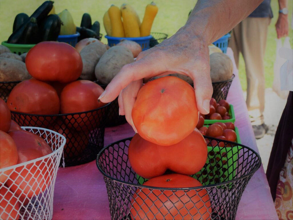 what to do with your life in August, produce stand, roadside, farm stand, farmers market, tomato, garden