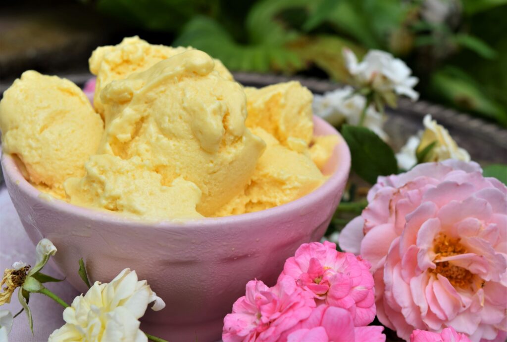 Easy Mango Frozen Yogurt, giles south, southern slow living, roses, yellow and pink, summer, spring, fresh, easy, simple recipe, dessert, fruit