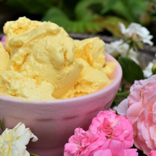 Easy Mango Frozen Yogurt, giles south, southern slow living, roses, yellow and pink, summer, spring, fresh, easy, simple recipe, dessert, fruit
