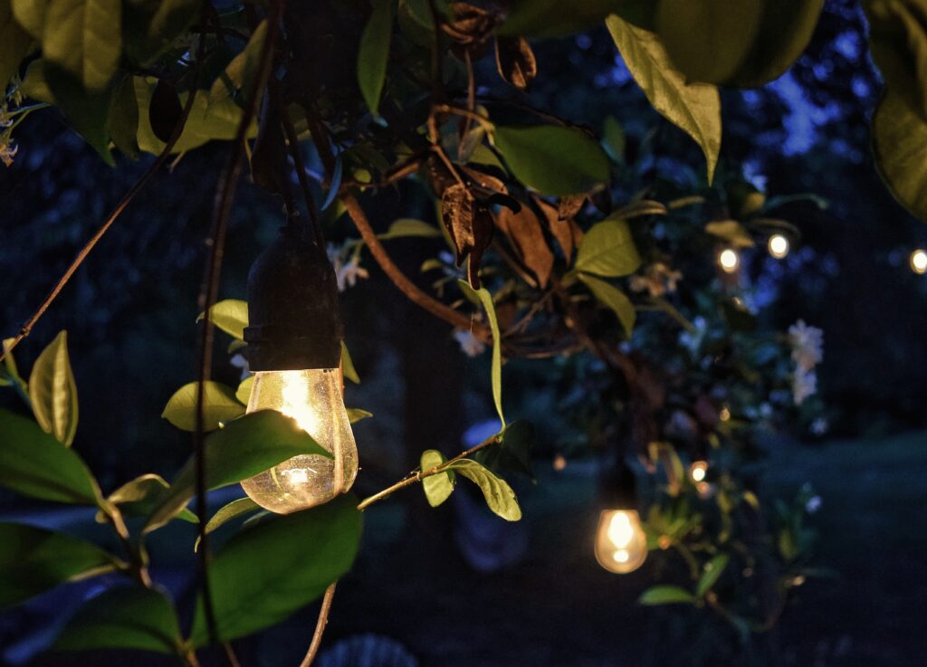 Slow living routine rhythm, patio string lights, dining al fresco on a warm summer night, jasmine vine