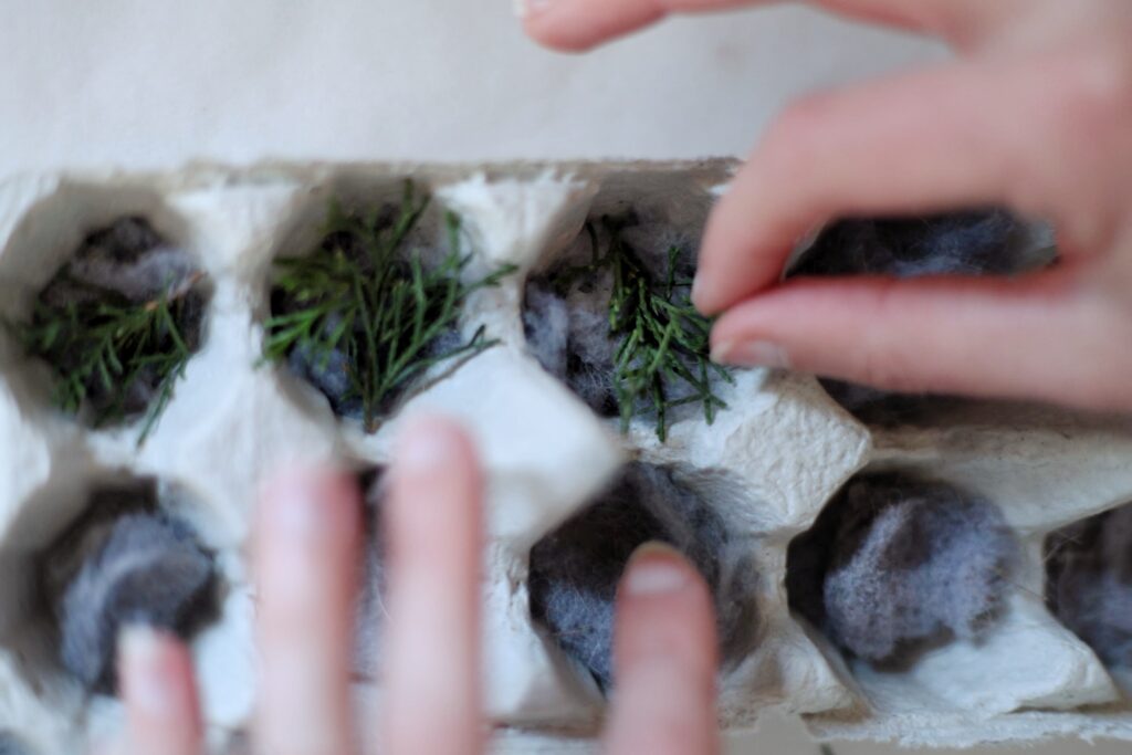 putting cedar and dryer lint into egg carton to make orange  evergreen fire starters