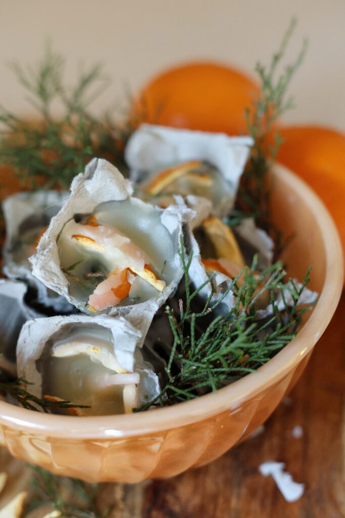 orange evergreen fire starters