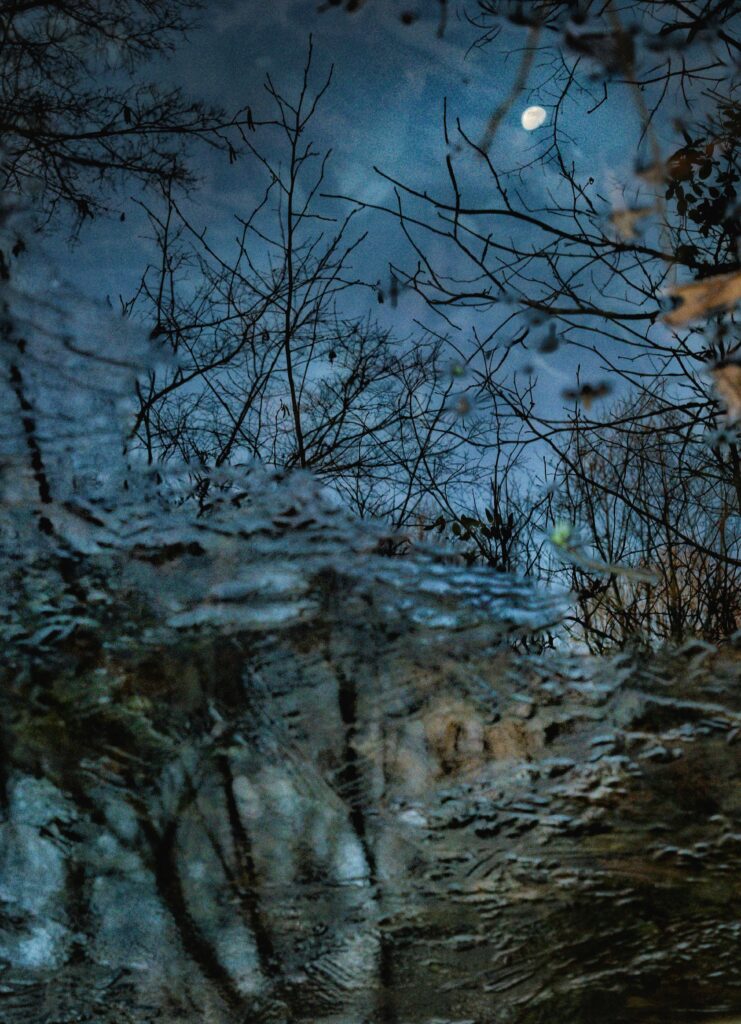 icy pond patterns creative practice nature walk early spring